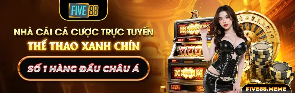 8 day - Đấu trường đá gà trực tuyến hấp dẫn